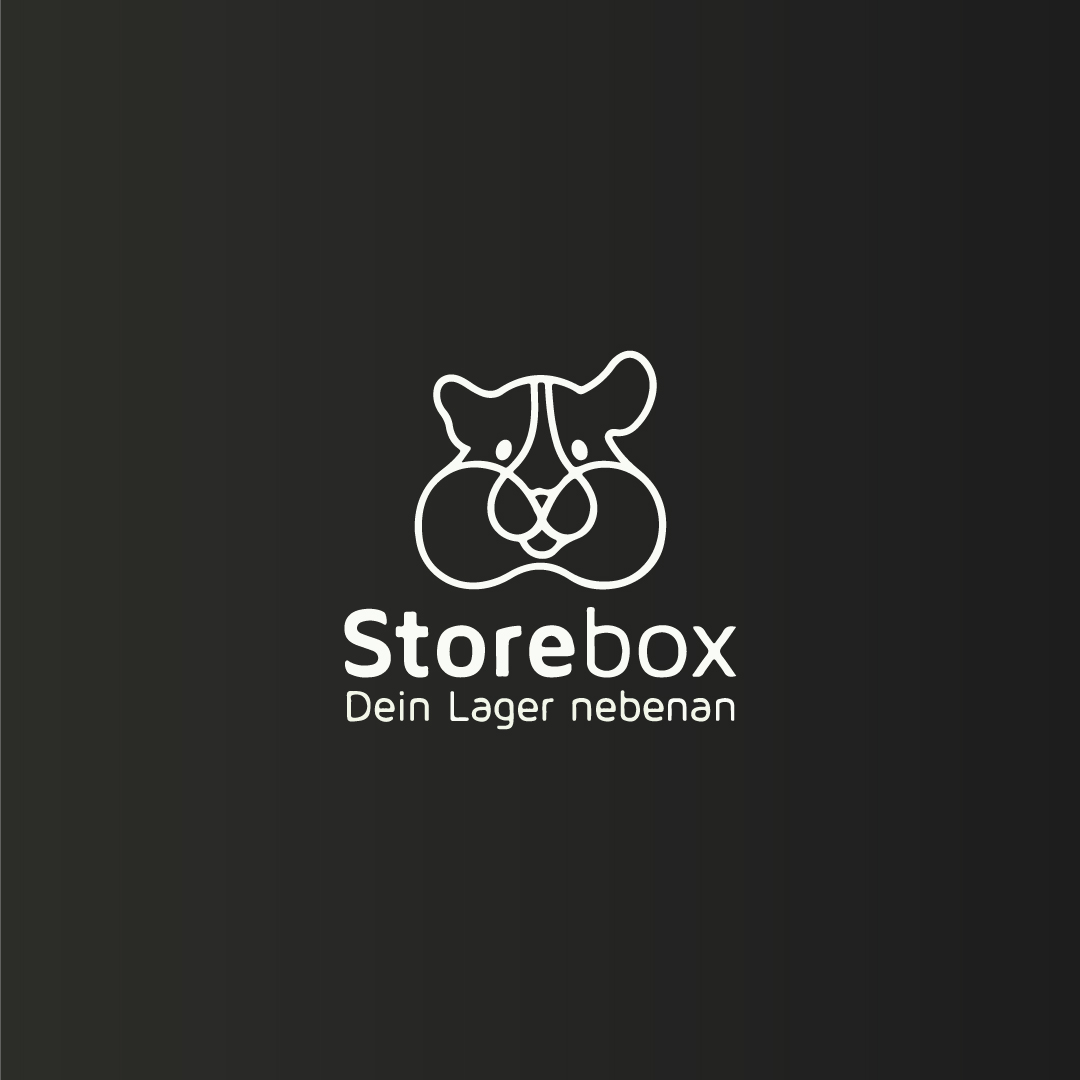 سرویس صندوق ذخیره سازی کاملا دیجیتالی شده Storebox